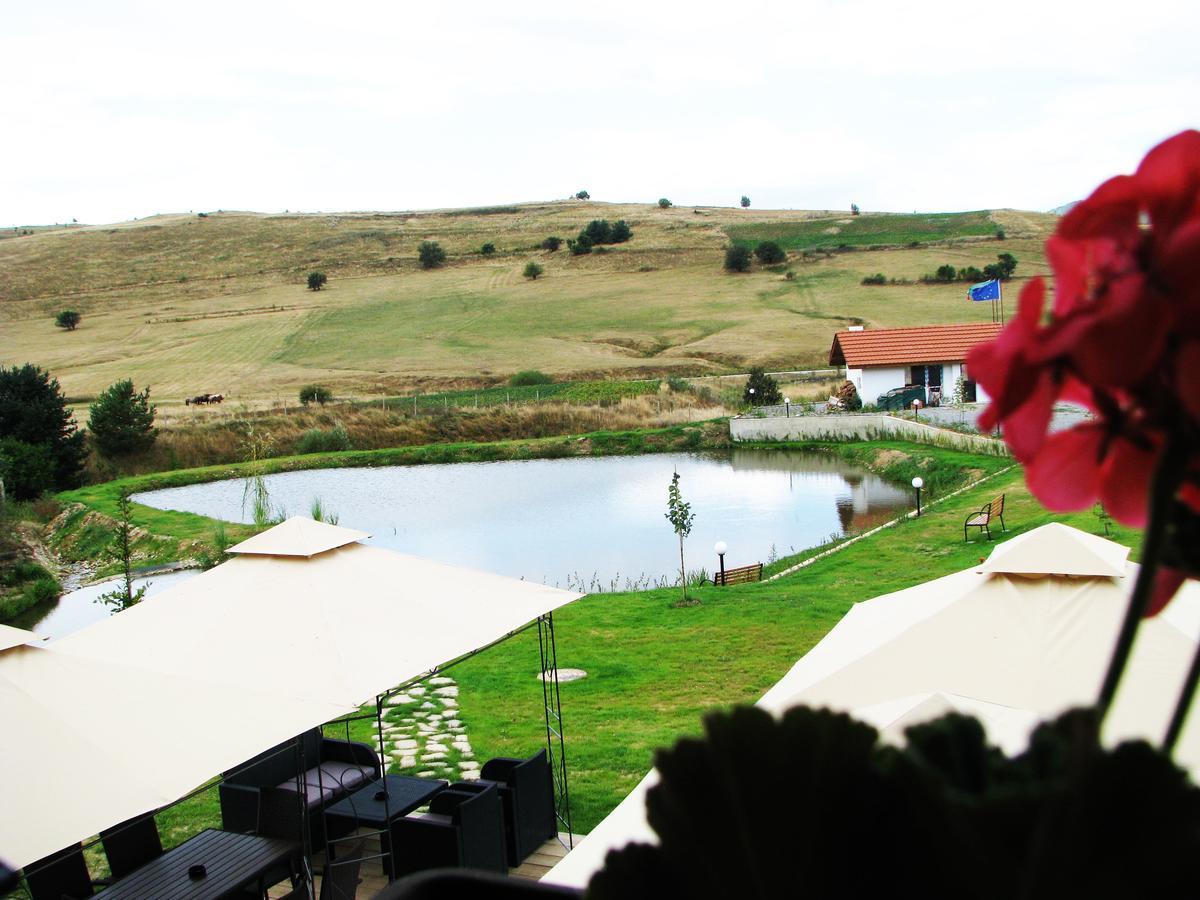 Park Hotel Eagle Stone Koprivshtitsa Luaran gambar